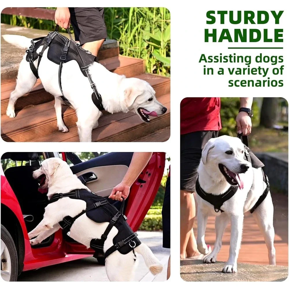 PUPTECK Mobility Support Harness for Medium‎ Large Dog Hind Leg Injury Aid